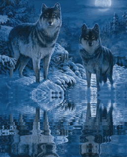 Wolves-2.gif image by awentia